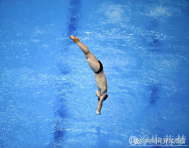 跳水世界杯巅峰之战：混合团体锦标赛